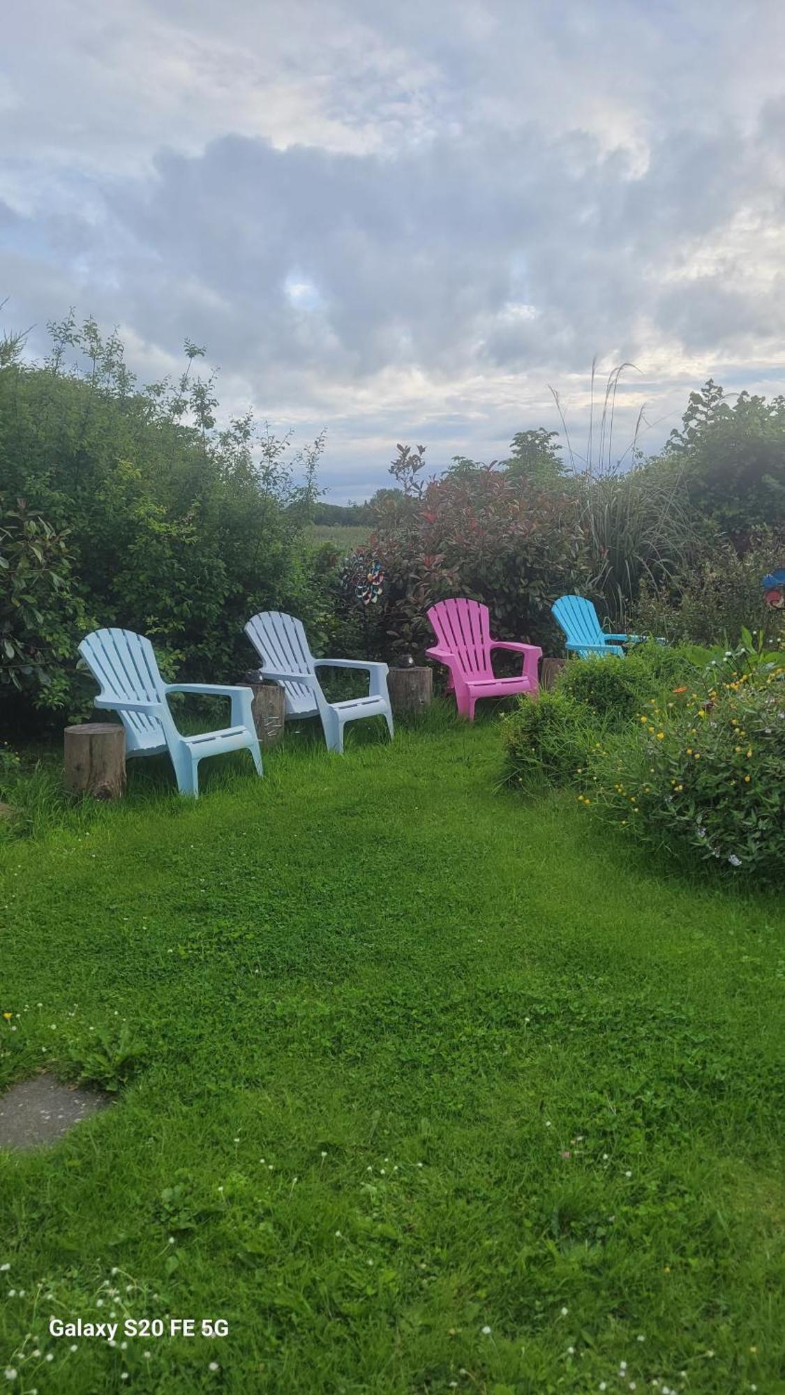 Salmon Island View